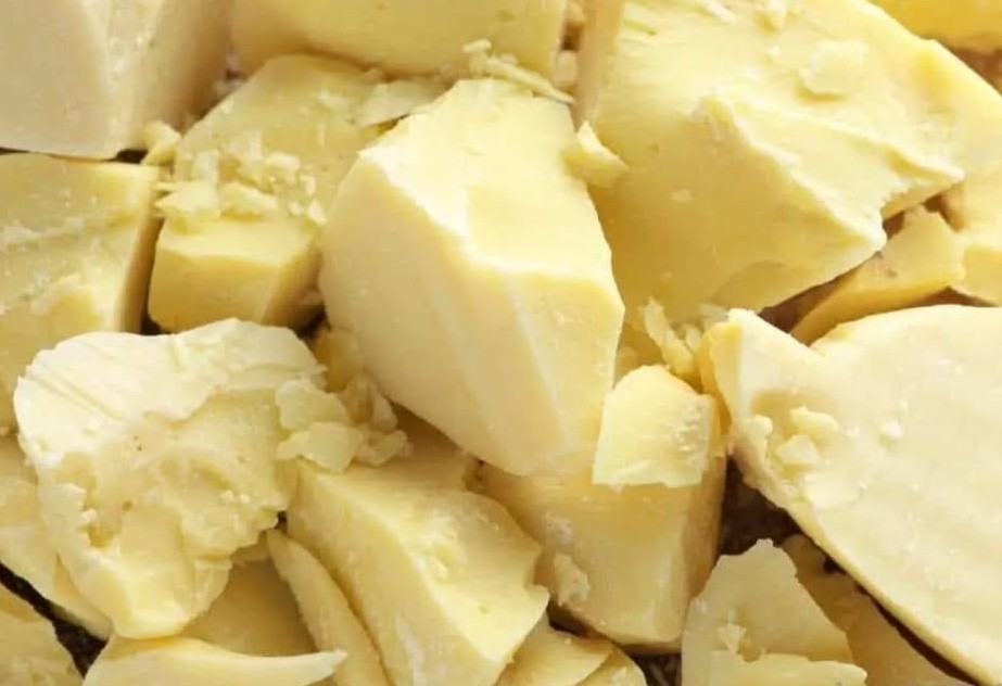 Blocs de beurre de cacao brut – W.A.C.C.